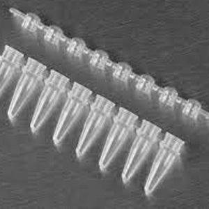 0.2 ml Domed PCR Tube 8-Cap Strips, clear